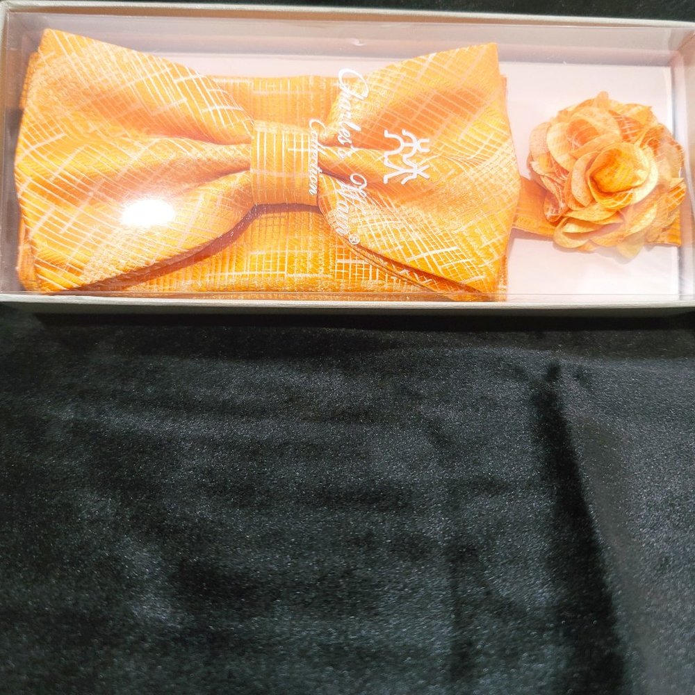 Men bridel self tied bow tie